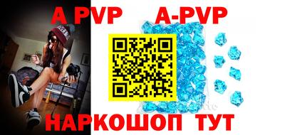 кокс Кингисепп