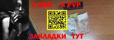 кокс Кингисепп