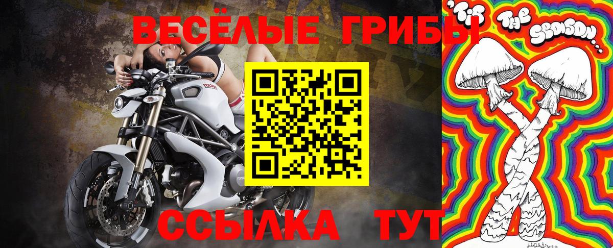 Галлюциногенные грибы мицелий Черкесск