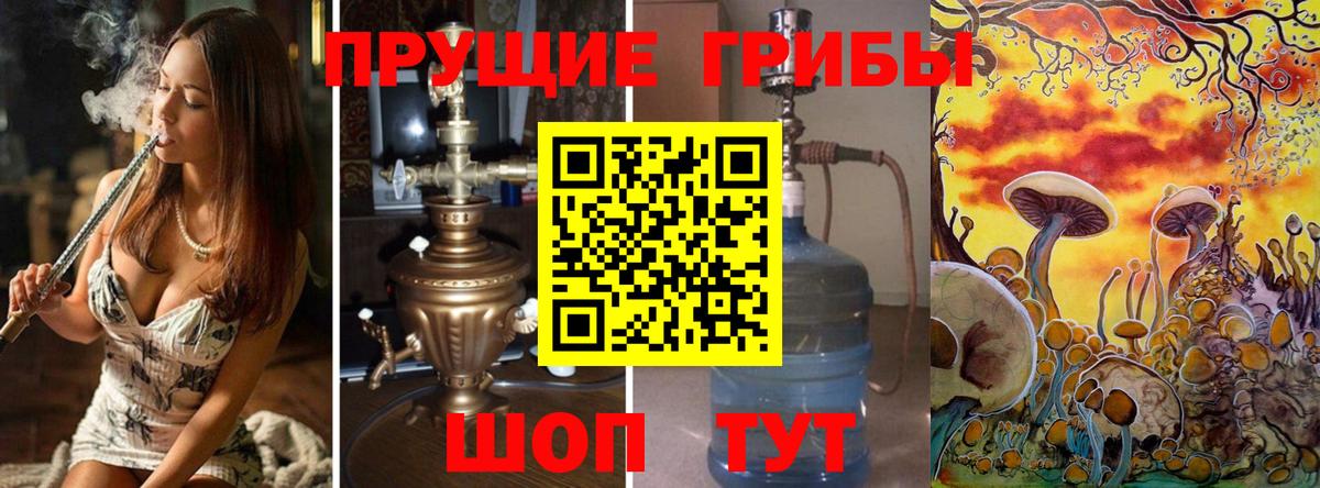 Черкесск  Галлюциногенные грибы GOLDEN TEACHER  Вход с VPN 
